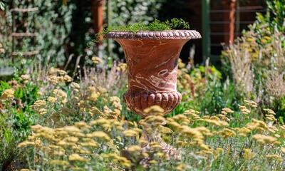 Rubens' tuin: kleurrijk paradijs