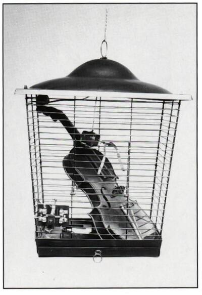 "Violin in a Bird Cage" ( 1965), Joe Jones. gemengde technieken. Fluxusverzameling Gilbert en Lila  Silverman, Detroit 