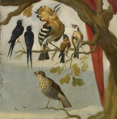 De Kijkhut: Vogelconcert
