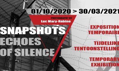 Snapshots - Echoes of Silence