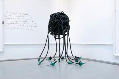 Pascale Marthine Tayou, Octopus, spoken,