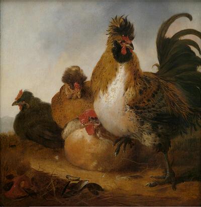 Aelbert Cuyp, Haan en hennen, ca. 1650, olieverf op paneel, gouden eeuw, 