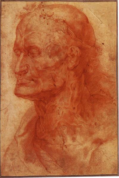 Pieter Paul Rubens (1577-1640), Hoofd van een bejaard man, Rubenshuis