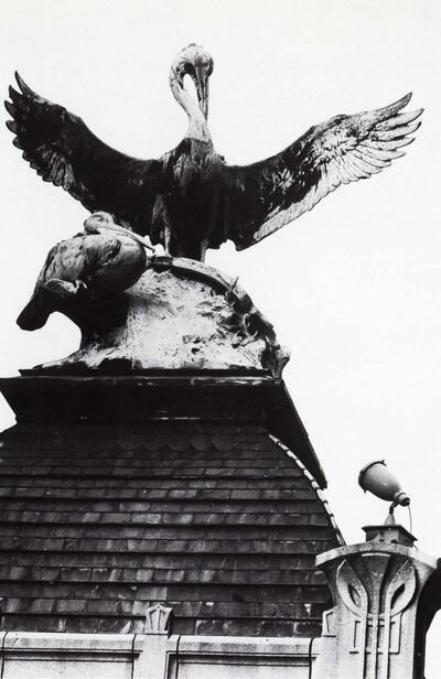 Josué Dupon (1864-1935), Twee kroeskoppelikanen op een scheepswrak, Zoo