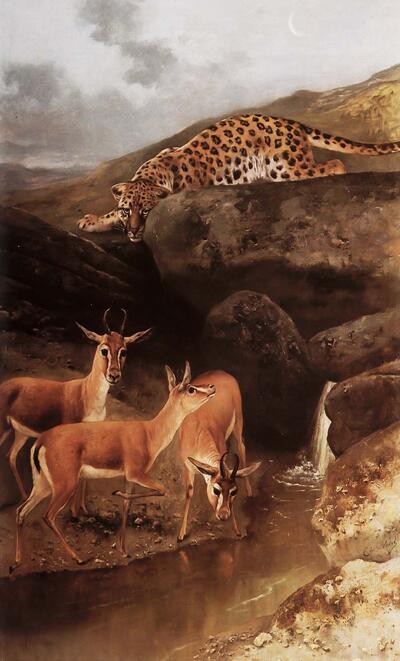 Karel Verlat (1824-1890), Panter en 3 antilopen in landschap. Zoo