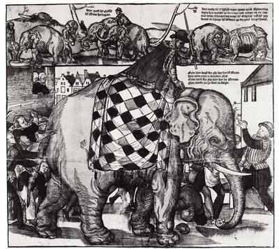 Jan I Mollijns (werkzaam 1549-1575), Een olifant te Antwerpen in het jaar 1563.  Dieren als model - Het dier in de Vlaamse schilder- en beeldhouwkunst