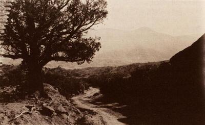 William Henry Jackson (U.S.A., 1843-1942), On the road to the Garden of Gods, ca. 1875. Fotografie